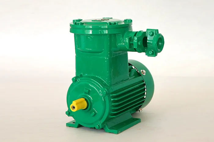 Взрывозащищенный трехфазный асинхронный электродвигатель серии YBX4 (4)