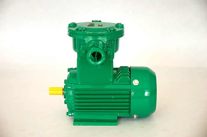 Взрывозащищенный трехфазный асинхронный электродвигатель серии YBX4 (5)