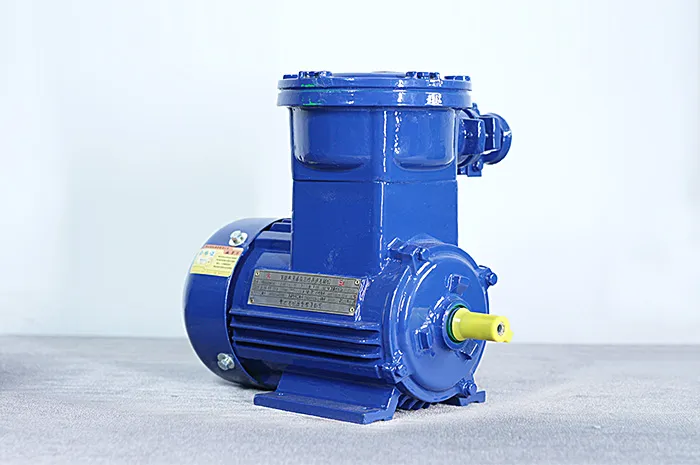 Взрывозащищенный трехфазный асинхронный электродвигатель серии YBX4 (5)