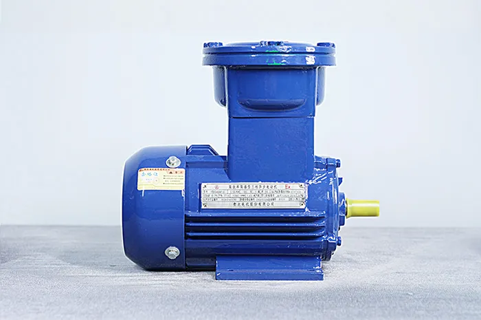 Взрывозащищенный трехфазный асинхронный электродвигатель серии YBX4 (6)