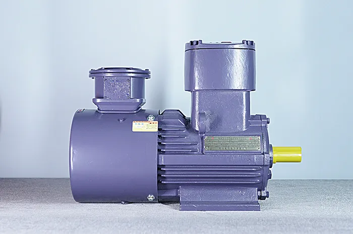Взрывозащищенный частотно-регулируемый трехфазный асинхронный электродвигатель серии YBBP (4)