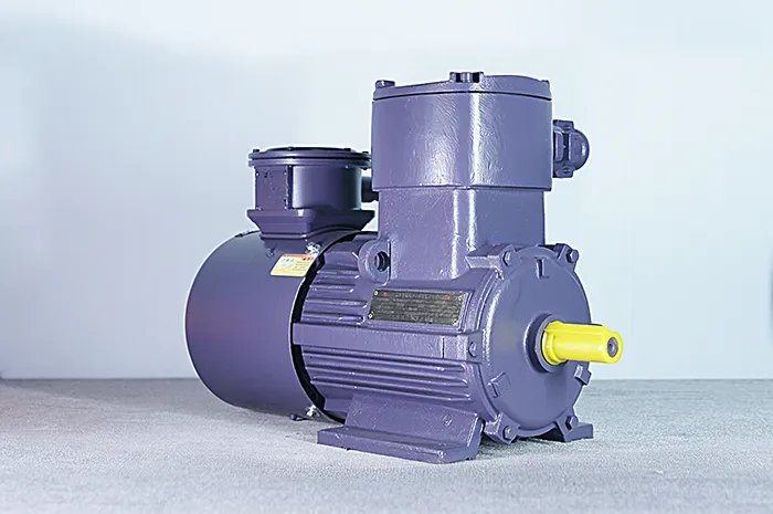 Взрывозащищенный частотно-регулируемый трехфазный асинхронный электродвигатель серии YBBP (5)