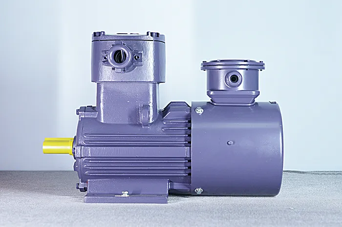 Взрывозащищенный частотно-регулируемый трехфазный асинхронный электродвигатель серии YBBP (6)