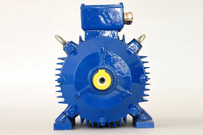 Трехфазный асинхронный электродвигатель серии HuE с подвижными лапами (4)