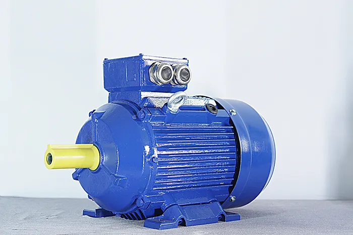 Трехфазный асинхронный электродвигатель серии HuE с подвижными лапами (6)