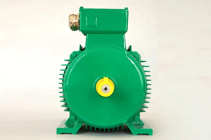 Частотно-регулируемый трехфазный асинхронный электродвигатель серии YVF2 (6)